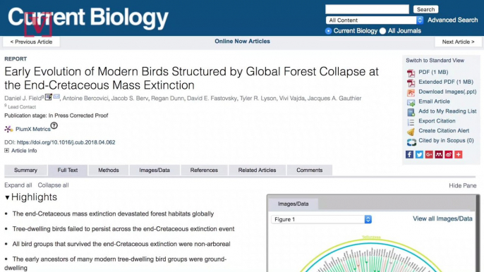 The Asteroid That Wiped Out The Dinosaurs Wiped Out a Bunch of Birds Too