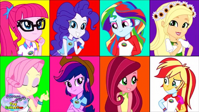 My Little Pony Equestria Girls Color Swap Mane 6 Transforms MLP Surprise Egg and Toy Collector SETC