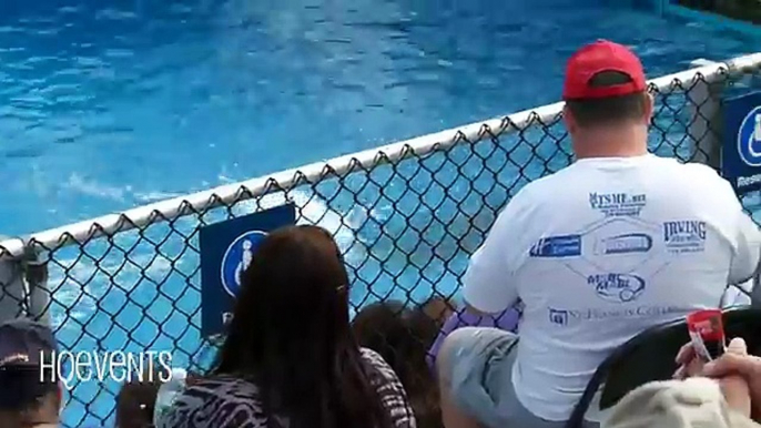 Funny Smart Cute Sea Lion Show