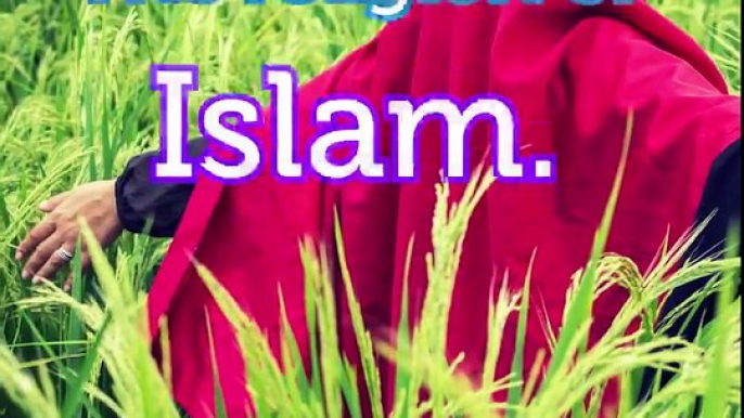 Have you ever had a friend that said this: "There are so many religions and I believe they all have truth to them!"Did God really send down thousands of diffe