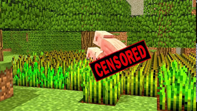 Top 5 Minecraft Sex Animations - Best Minecraft Animation 2017 - Funny Minecraft Animations!