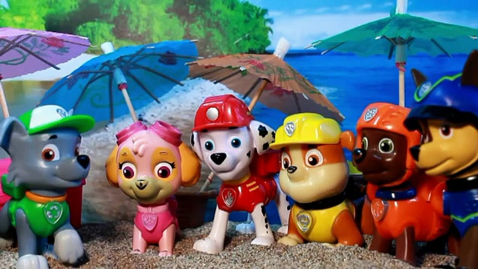 PATRULLA CANINA VA A LA PLAYA! PAW PATROL toys PUPS en español PATRULLA CACHORROS