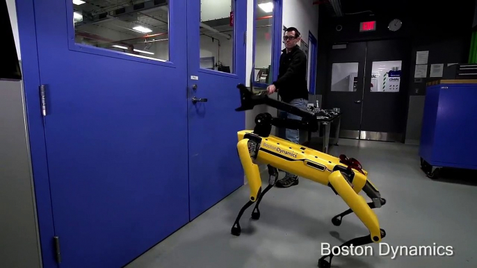 Ini Dia Testing Ketangkasan untuk Robot - Boston Dynamics Robot Dog