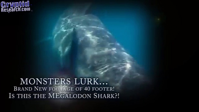 Megalodon Shark Caught on Tape, Up Close Alien Sightings, Real Mermaid Body Found, Sea Monsters 2016