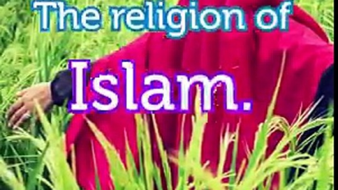 Have you ever had a friend that said this: "There are so many religions and I believe they all have truth to them!"Did God really send down thousands of diffe