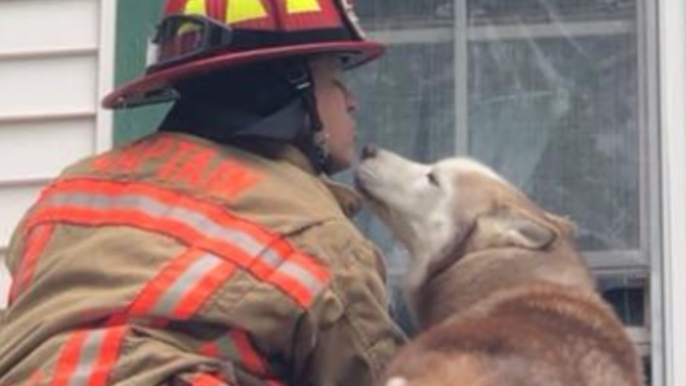 Maine Firefighter Gets Puppy Love During Dog Rescue