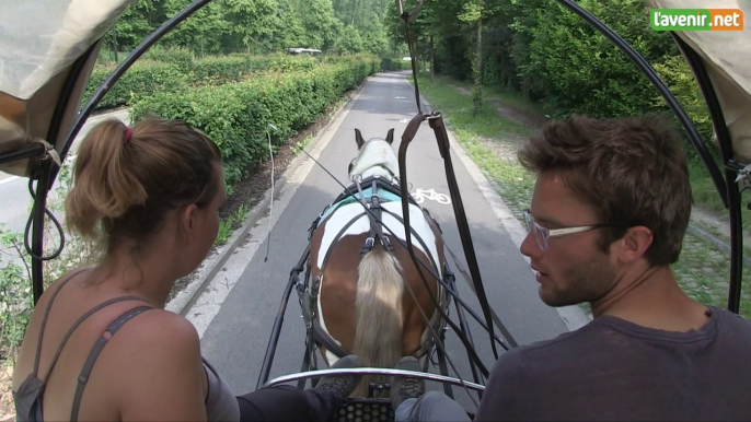 Avec Banjo, cette Héronaise nettoie la forêt de Soignes