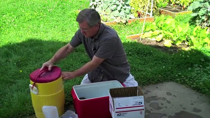 How To Grow Shiitake Mushrooms On Logs