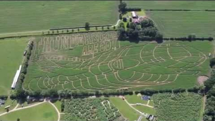 An Iconic Maze Has Been Transformed Into The World’s Largest THUNDERBIRD.