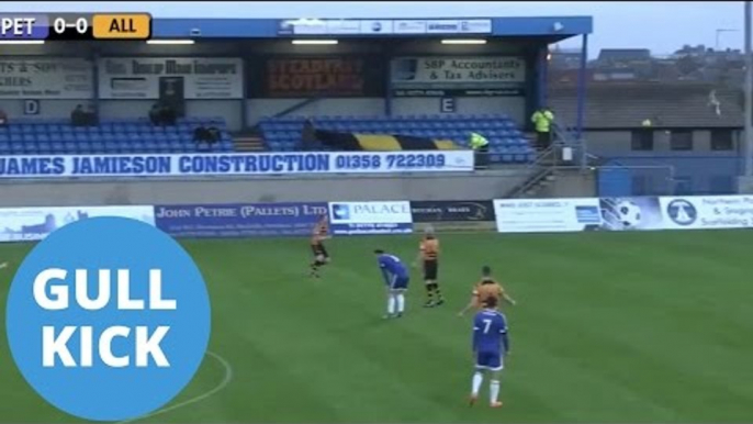 Keeper's Goal Kick Strikes Flying Seagull