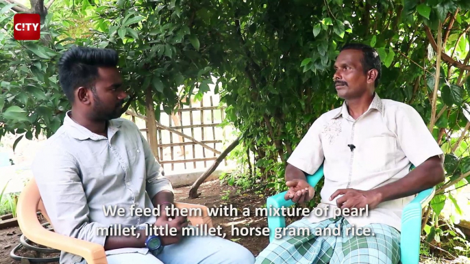 Farmer's incredible principle | World Environmental Day Special | SimpliCity