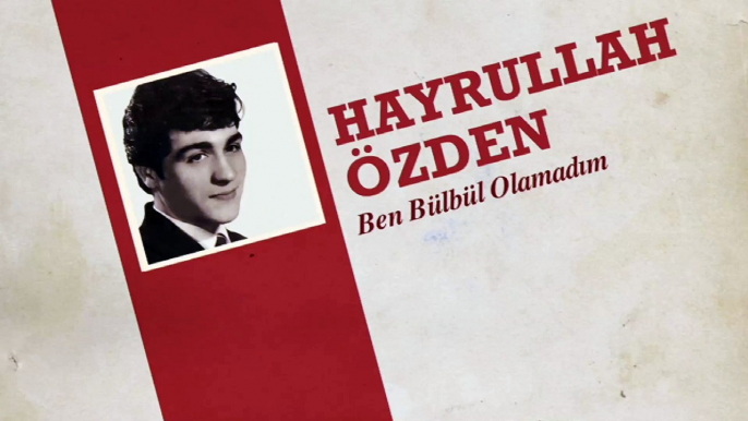 Hayrullah Özden - Ben Bülbül Olamadım (45'lik)