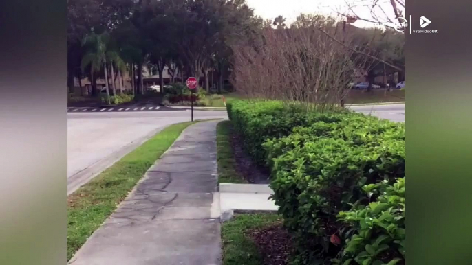 Ce skateboardeur l'a échappé belle