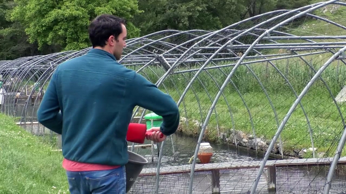 Hautes-Alpes : deux nouveaux propriétaires pour la pisciculture de Châteauroux-les-Alpes