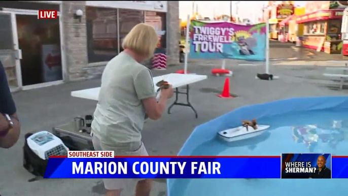 Waterskiing Squirrel Spreads Water Safety Message