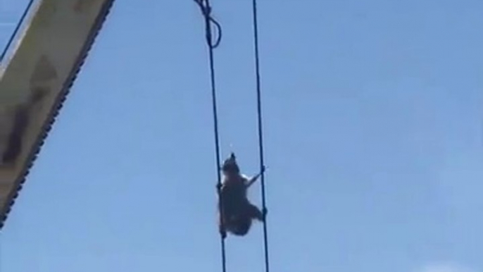 Un raton laveur escalade une grue en mode Cliffhanger... Trop mignon