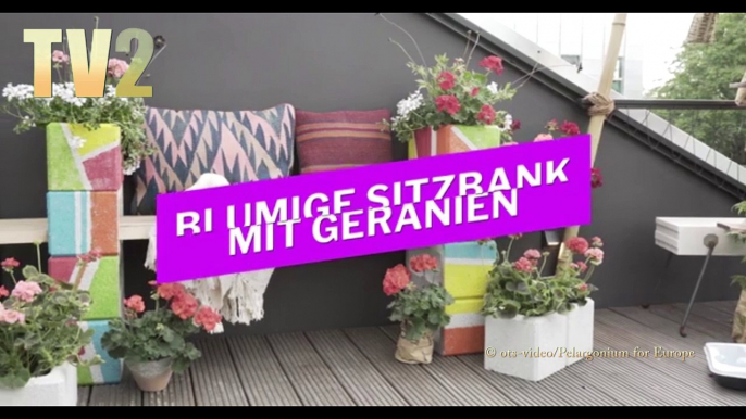 Upcycling:  Blumige Sitzcouch aus Porenbeton mit Geranien