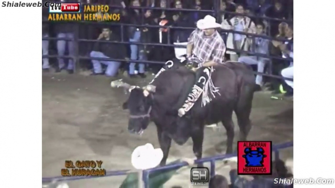 Toros Salvajotes De La Mejor Ganaderia De Mexico Calando A Los Mejores Jinetes De Mexico Charros Unidos