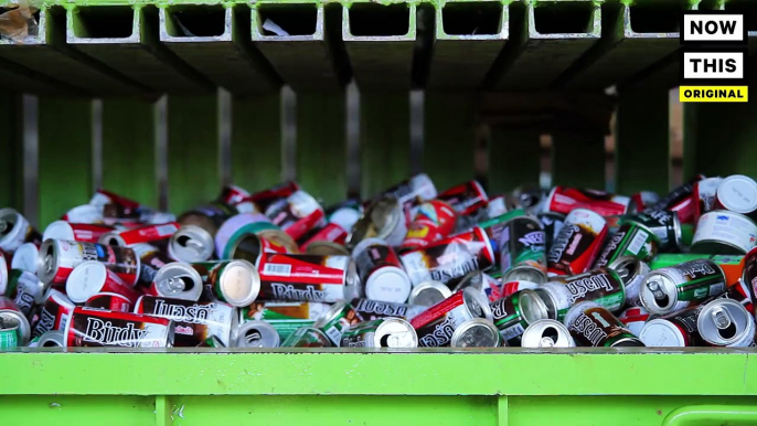 We followed the recycling process from the bins to the plant to understand where our recycling actually goes