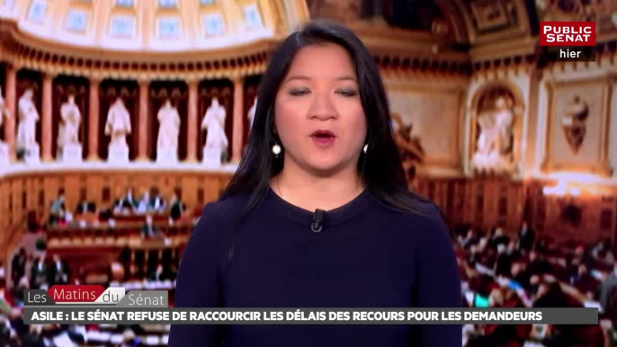 Asile : le Sénat refuse de raccourcir les délais des recours - Les matins du Sénat (21/06/2018)