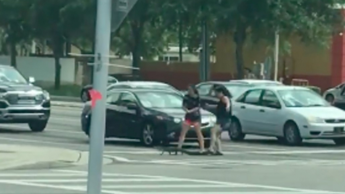 Women Help Gator Navigate Busy Intersection in Florida