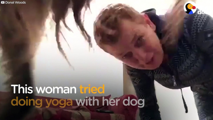 FUNNY Dog Steals Phone During Mom's Yoga Session The Dodo