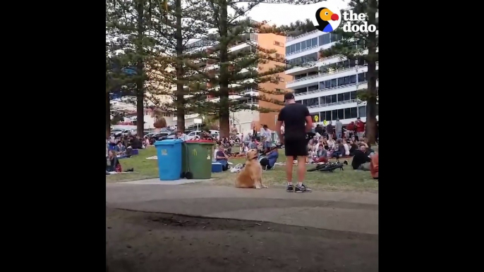 Dog PLAYS DEAD to Avoid Going Home While Park Crowd Watches The Dodo