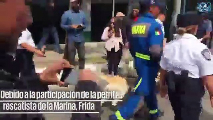 Perrita Frida se llevó los aplausos durante desfile