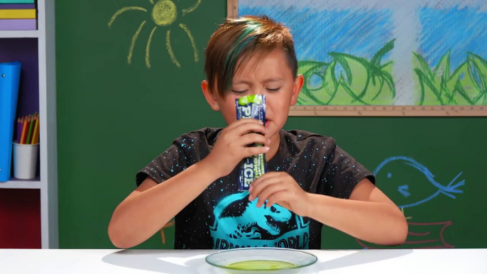 KIDS TRY GROSS PICKLE FLAVORED FOODS! Kids Vs. Food