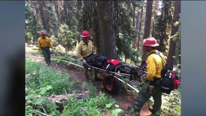 Military Planes Help Firefighters Fighting Colorado Wildfires