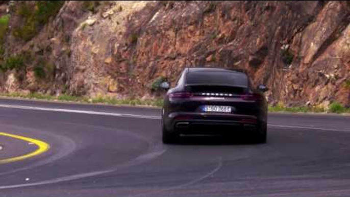 Porsche Panamera 4 E-Hybrid in Amethyst Metallic Driving Video Trailer | AutoMotoTV