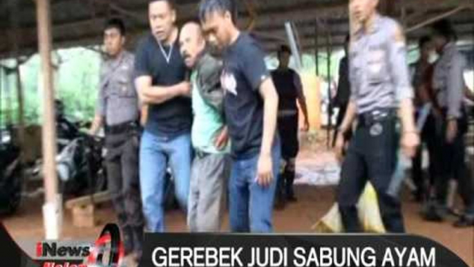 Gerebek arena judi sabung ayam, puluhan warga Kendal ditangkap Polres Kendal - iNews Malam 08/02