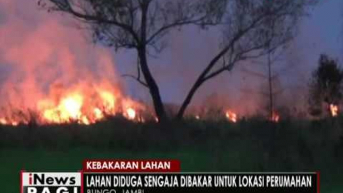 Kebakaran lahan, lahan seluas 5 hektar habis terbakar - iNews Pagi 11/10