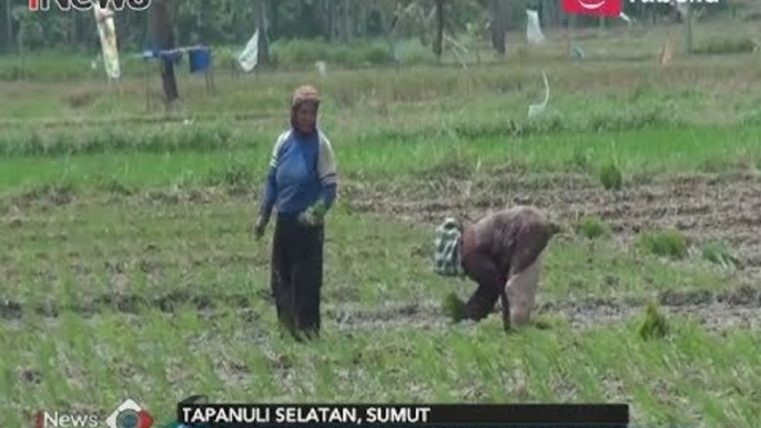 Sengketa Lahan Sawit Ancam Nasib Warga Transmigrasi Tapanuli Selatan - iNews Pagi 05/03