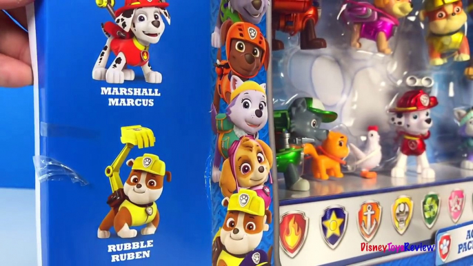 PAW PATROL LIMITED EDITION METALLIC SERIES ACTION PACK PUPS CHASE MARSHALL RUBBLE SKYE EVEREST ROCKY