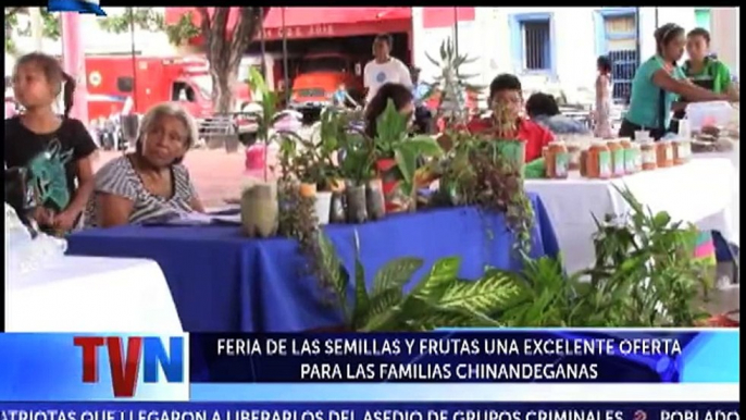 #TVNoticias Semillas para siembra de arroz y trigo, y frutas  fueron ofertados en Chinandega, como parte de la Feria de Semillas, promovida por el INTA y MEFCCA