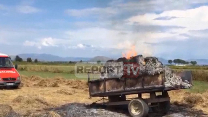 Report Tv - Shkodër, rrufeja godet tre persona në arë, vdes gruaja, plagosen dy të tjerët