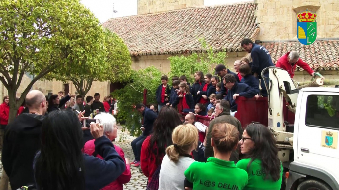 REPORTAJE FIESTAS DE LA VIERGEN DE LOS REMEDIOS DE VILLAMAYOR MAYO 2017