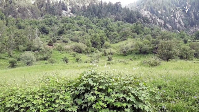 زیبایی‌هائ نورستان در تصاویرما تلاش کردیم تا زیبایی‌های پارون مرکز این ولایت و ولسوالی واما آن را به تصویر برای‌تان بکشیم.روح الله انوری خبرنگاری رادیو آزادی