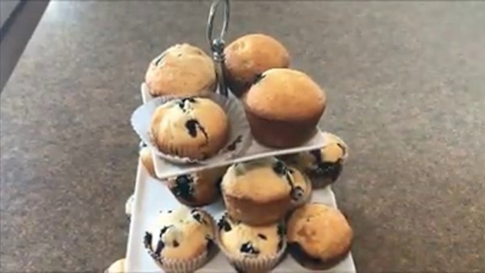 Blueberry Muffins Recipe by Robina irfan