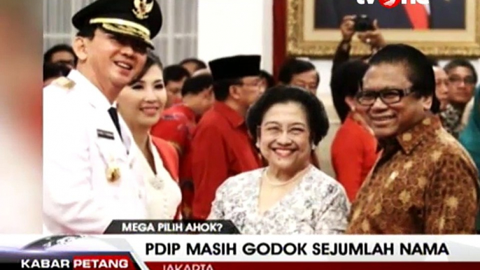 Sekjen PDIP Ibu Megawati Sayang Ahok