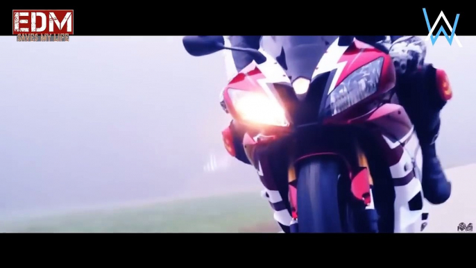 _Inspired by Alan Walker Remix  Life of Riders - Biker Edition -