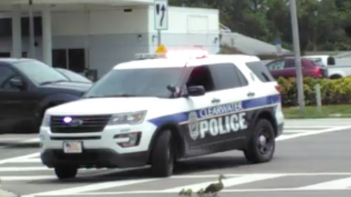 Mama Duck and Her Ducklings Get First Class Treatment With a Police Escort in Florida