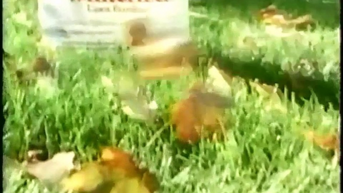 (October 7, 1998) WGN-TV 9 The WB Chicago Commercials