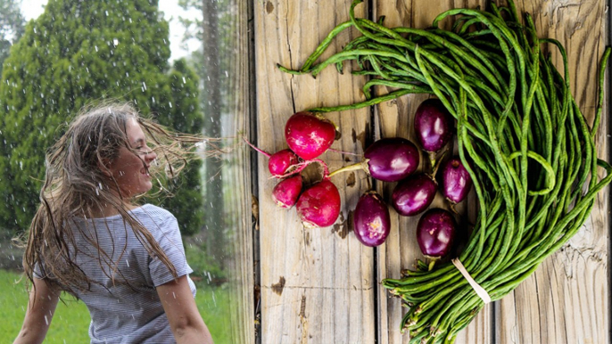 Monsoon Tips: 5 Must have Vegetables | बारिश के मौसम में Diet में शामिल करें ये 5 सब्जियां | Boldsky