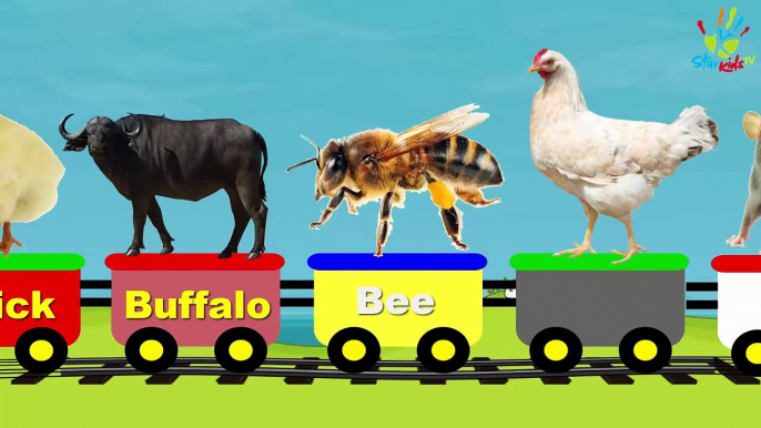 Farm Animals Train | Learn Farm Animals & Animal Sounds | Star Kids TV