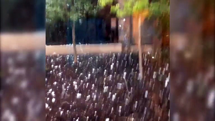 'Golf Ball' Sized Hail Stones Fall At Cheyenne Mountain Zoo