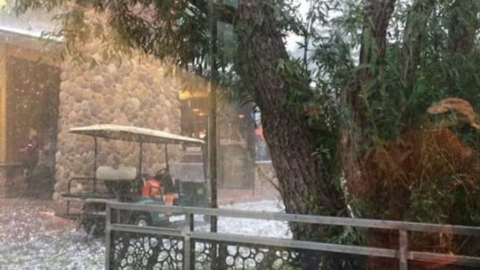 Softball-Sized Hailstones Kill Animals, Injure Guests at Colorado Springs Zoo