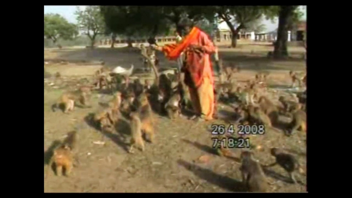 Bhawreshwara Baanar Bhoj - 2008