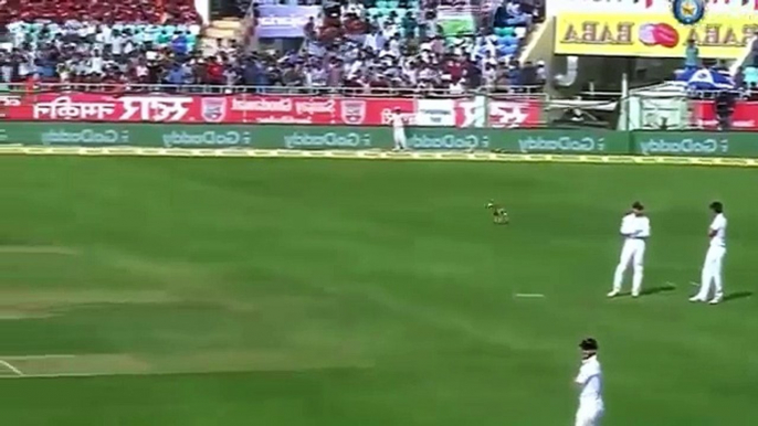 Top 10 Animals Attacks on Players in Cricket Ground - Dangerous Animal Attacks